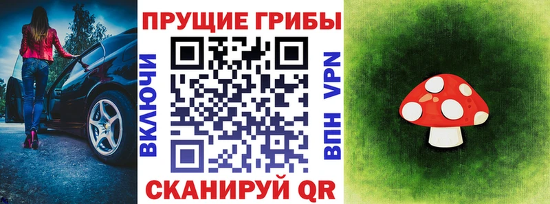 дарнет шоп  Тотьма  это какой сайт  Псилоцибиновые грибы ЛСД  гидра зеркало 